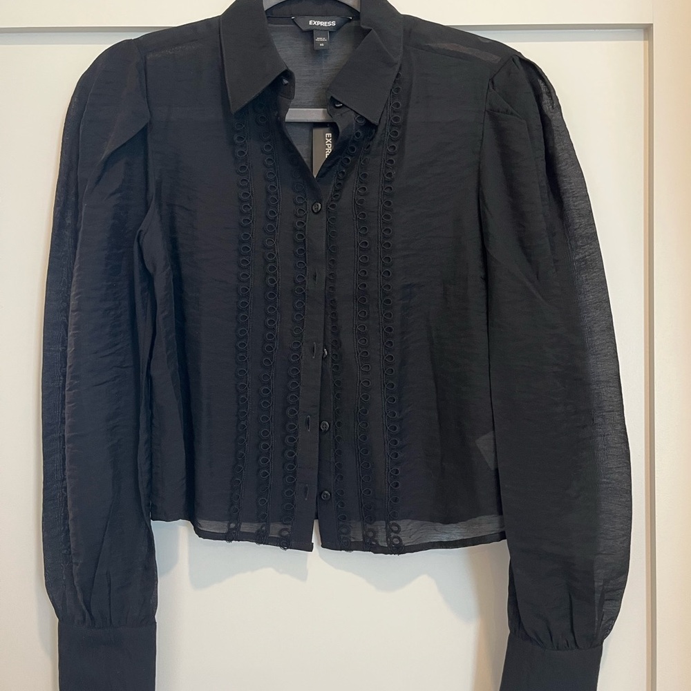 Sheer Black Button-Up Blouse
